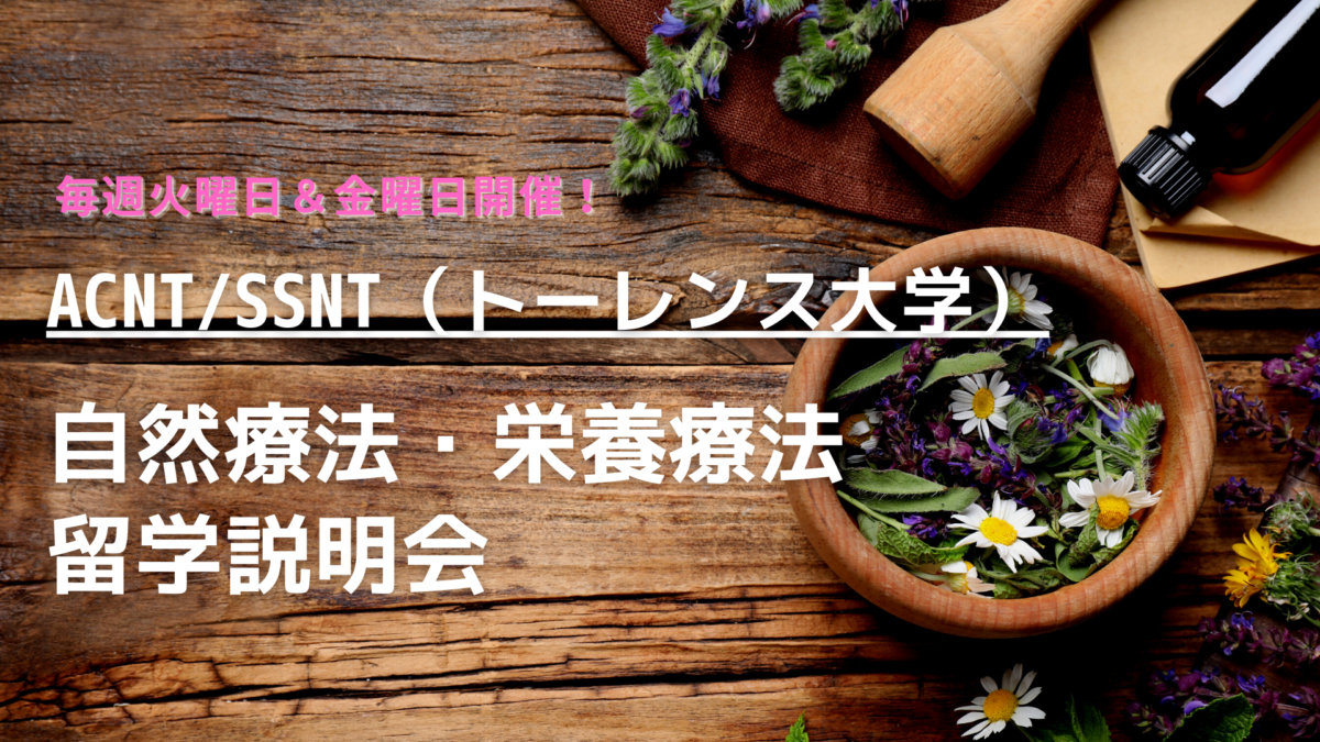 毎週火曜 金曜 自然療法 ナチュロパシー 栄養療法留学 個別説明会 オーストラリアのナチュラルセラピー名門校acnt Ssnt トーレンス大学 で学ぶ Icnオーストラリア留学情報館マガジン